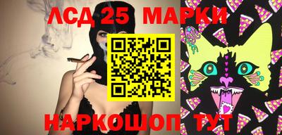 стафф Донецк