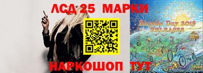 стафф Донецк