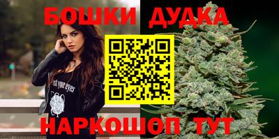 стафф Донецк