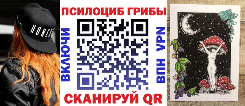 mega маркетплейс  Волгоград  Галлюциногенные грибы прущие грибы  купить закладку 
